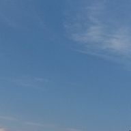 ここみさんのアイコン画像