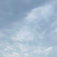 飴ちゃん🍬🍃さんのアイコン画像