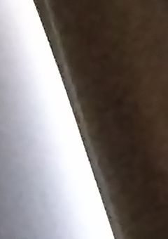 ゆかいななかまたち