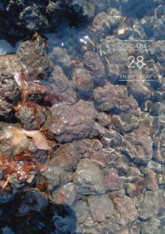 いつかあの頃の私が