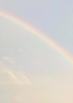 なぜあそこまで好きだったのだろうか