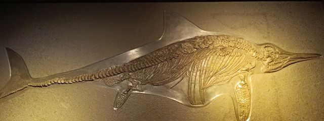 店長さんの壁紙画像