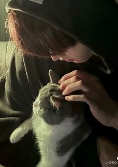 セブチの最強マンネはツンツンです。