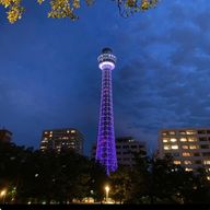 senaさんのアイコン画像