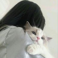 ㅠ ㅠ ユ ー ユ ーさんのアイコン画像