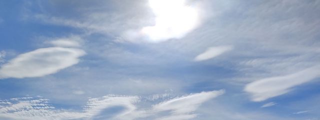 ねこたろうさんの壁紙画像