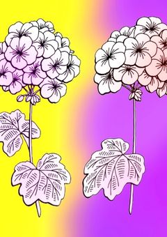 花が染まるまで。【コラボ小説】