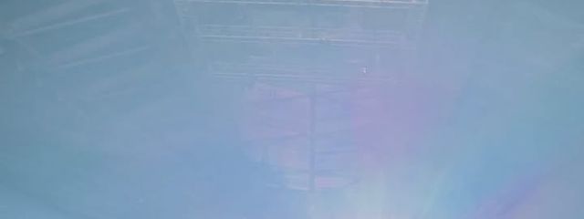 んちゅさんの壁紙画像