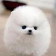 Khaibyさんのアイコン画像