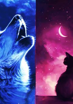 一匹狼と野良猫