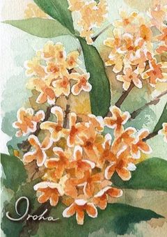 遠　く　離　れ　た　君　の　微　笑　み