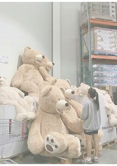 📛枠決め📛