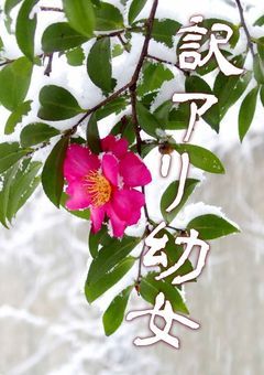 　　　天女さまは訳アリ幼女！？