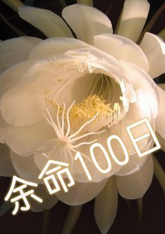 【参加型〆】余命100日宣告されたので、100日元気に楽しみます！〜何も言わずに消えるけど許してね〜