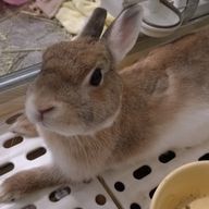 まんほーるさんのアイコン画像