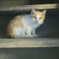 ゆうなさんのアイコン画像