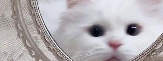 藍原さんの壁紙画像