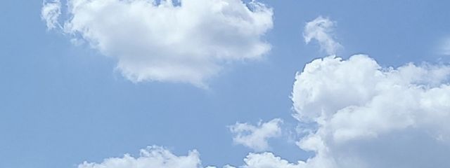 Yukiさんの壁紙画像