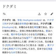 イボテングタケ養殖場@やべえスランプさんのアイコン画像