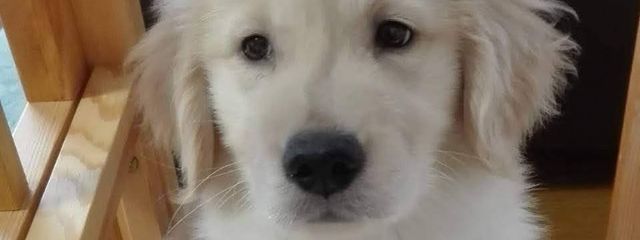 ななほさんの壁紙画像
