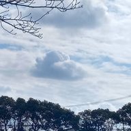 ななほさんのアイコン画像