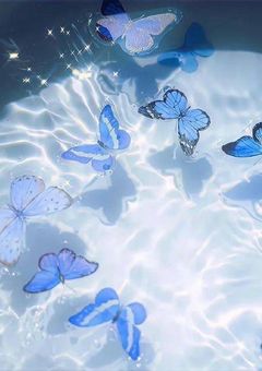 岩本照の妹は、塩対応 ＿ .