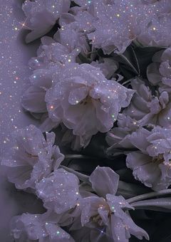 あ の 恋 が 叶 う な ら ＿ .