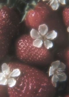 小さな愛を大きくしてみない ? 