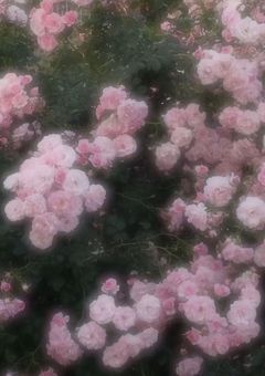 唯 一 無 二 の B L た ん ぺ ん 集 。