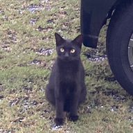 マリカさんのアイコン画像