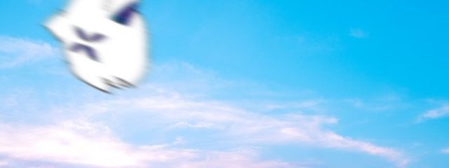 𝕃𝕖𝕒𝕗 / 勉強中 （低浮上）🎆🧐さんの壁紙画像