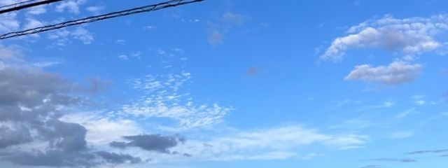 せりざわ🎐🧊＠不定期さんの壁紙画像