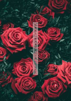 松倉先生、俺の事で頭いっぱいにして？