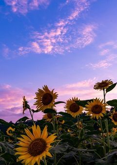 hot summer day