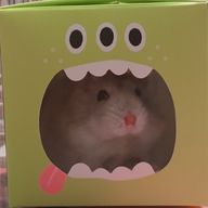 やえなずなさんのアイコン画像