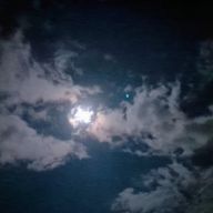 ラズさんのアイコン画像