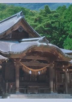 社会人女子大生はメイド風俗嬢～ジャニーズ恋愛バトル～