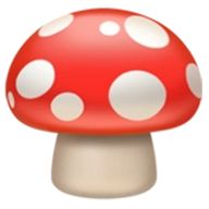 ポソ🍄さんのアイコン画像