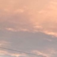 アセロラちゃんさんのアイコン画像