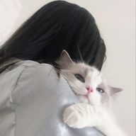 nnnmさんのアイコン画像