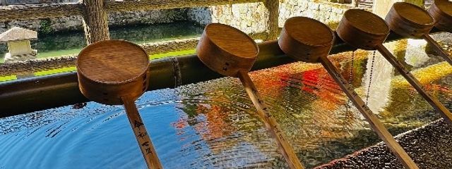 nelo_nさんの壁紙画像