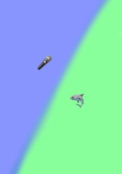 vvt(借金組🎤🦈)