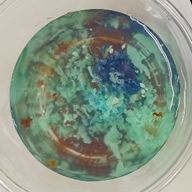 なな　～受験のため低更新中～さんのアイコン画像