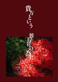 - 貴方という 彼岸花の為に 。 -