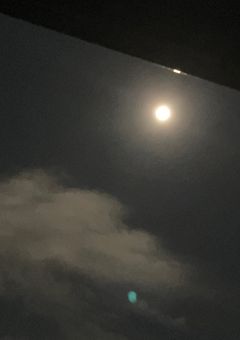 狼灰谷ズ【ハンターから逃げろ】