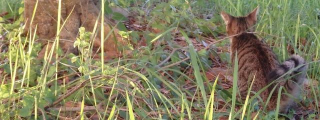 結川翔己さんの壁紙画像