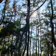 結川翔己さんのアイコン画像