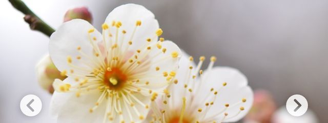 ユウ太さんの壁紙画像