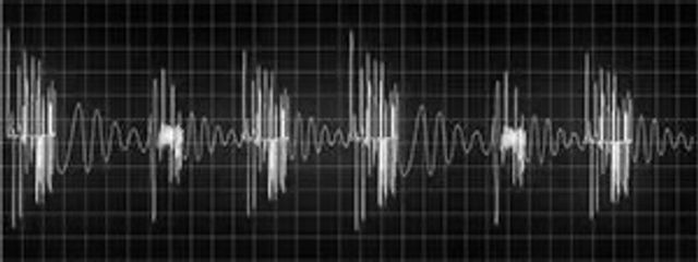 嫩葉迅天さんの壁紙画像