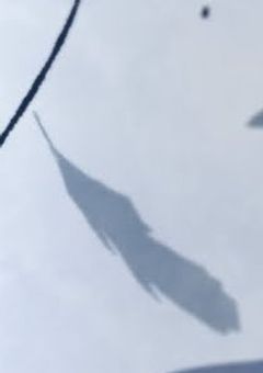 いなくなった僕